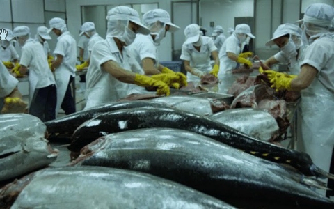 Dự báo: 2021 sẽ là một năm ảm đạm của xuất khẩu cá ngừ Việt Nam
